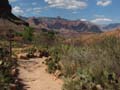 Grand Canyon - Indian Gardens